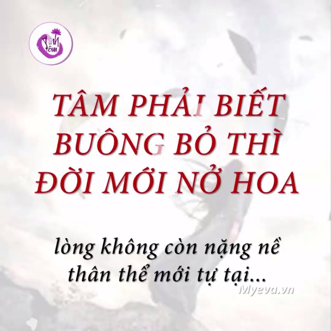 Káº¿t quáº£ hÃ¬nh áº£nh cho tam no hoa