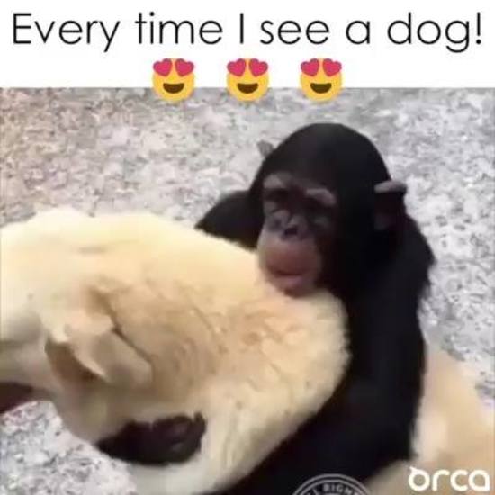 Chúng tôi yêu nhaooooooo mà :3