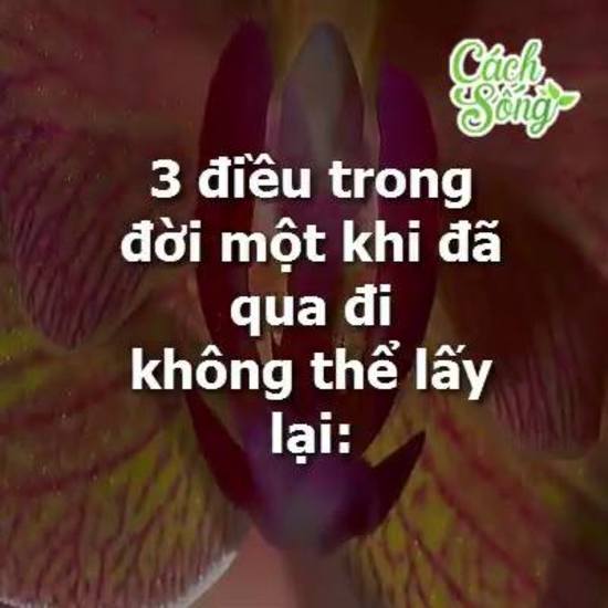 Những điều không được quên trong cuộc đời (y)