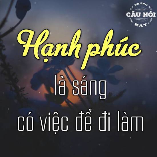 Hạnh phúc đôi khi là những điều bình dị