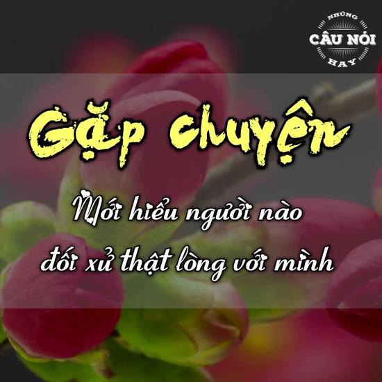 Khi gặp chuyện mới hiểu người nào thật lòng với mình
